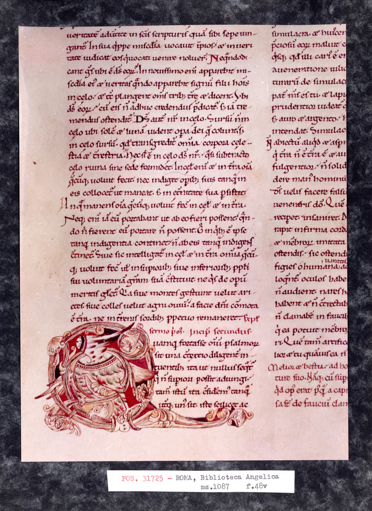 Roma, Biblioteca Angelica, Ms. 1087
pos_31725
Keywords: Angelica Ms. 1087, Decorazioni zoomorfe, Angelica