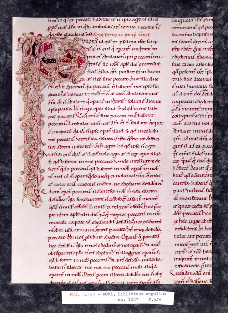 Roma, Biblioteca Angelica, Ms. 1087
pos_31729
Keywords: Angelica Ms. 1087, Angelica