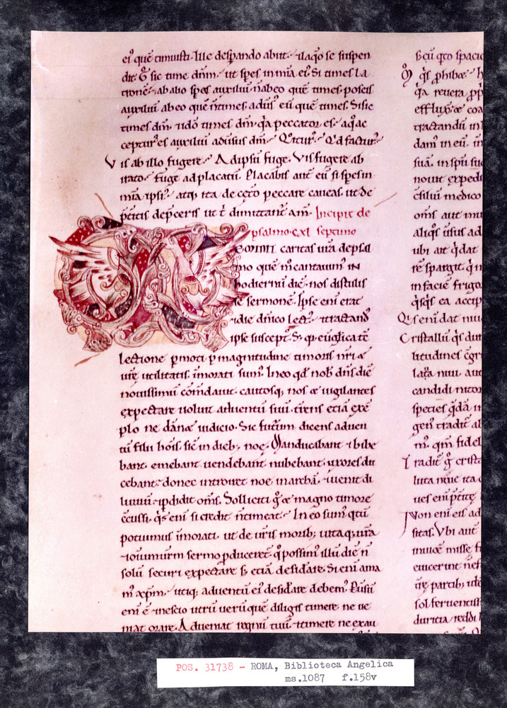 Roma, Biblioteca Angelica, Ms. 1087
pos_31738
Keywords: Angelica Ms. 1087, Decorazioni zoomorfe, Angelica