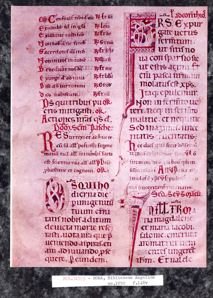 Roma, Biblioteca Angelica, Ms. 1092
pos_31995
Keywords: Angelica Ms. 1092, Decorazioni zoomorfe, 9. sec., Angelica