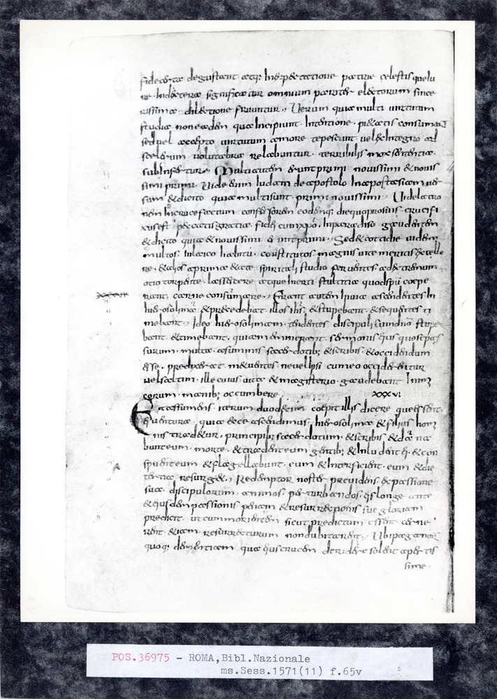 Roma, Biblioteca Nazionale Centrale, Sess. 1571
pos_36975
Keywords: BNCR Sess. 1571, 8. sec., BNCR