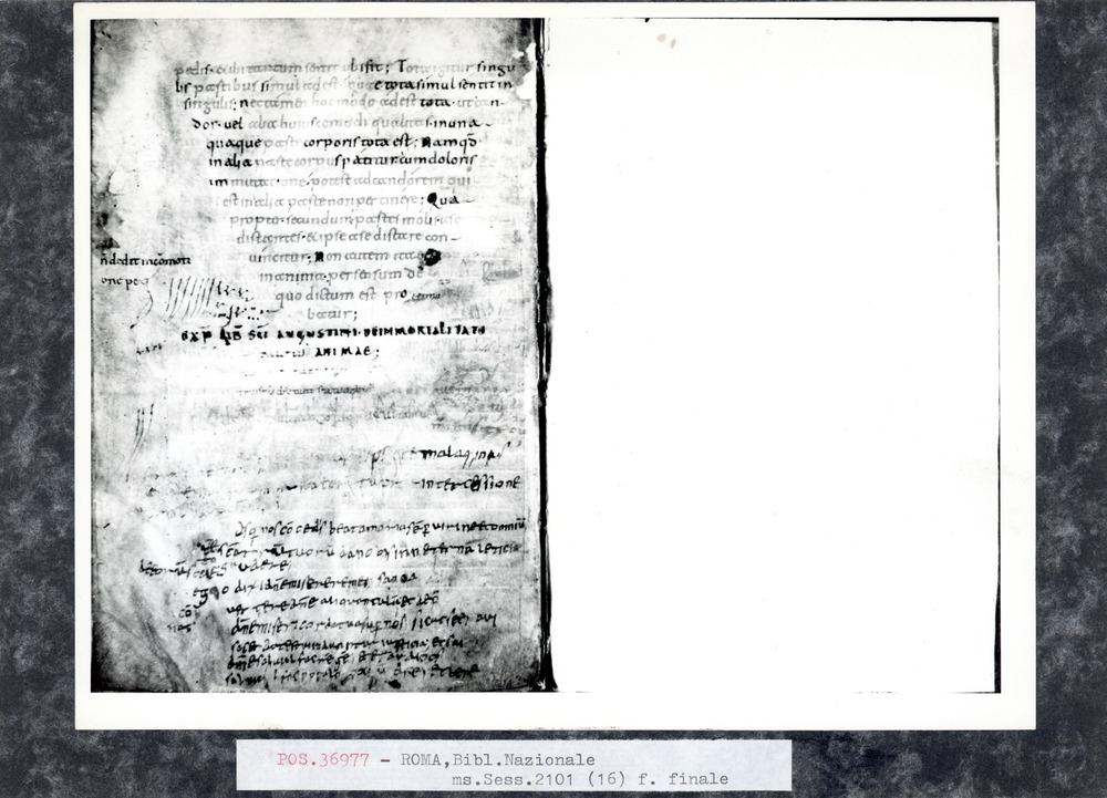 Roma, Biblioteca Nazionale Centrale, Sess. 2101
pos_36977
Keywords: BNCR Sess. 2101, 9. sec., BNCR