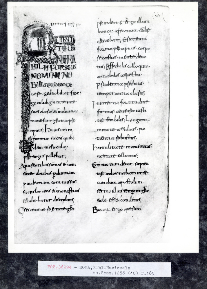 Roma, Biblioteca Nazionale Centrale, Sess. 40
pos_36994
Keywords: BNCR Sess. 40, 9. sec., BNCR