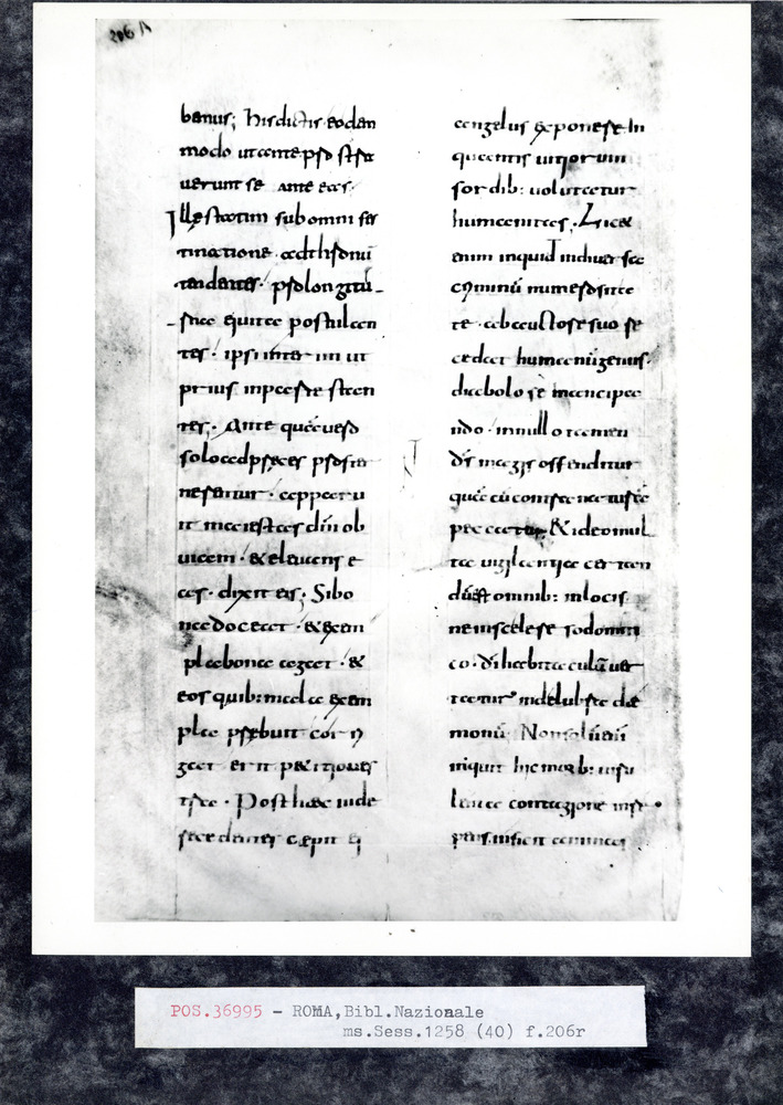 Roma, Biblioteca Nazionale Centrale, Sess. 40
pos_36995
Keywords: BNCR Sess. 40, 9. sec., BNCR
