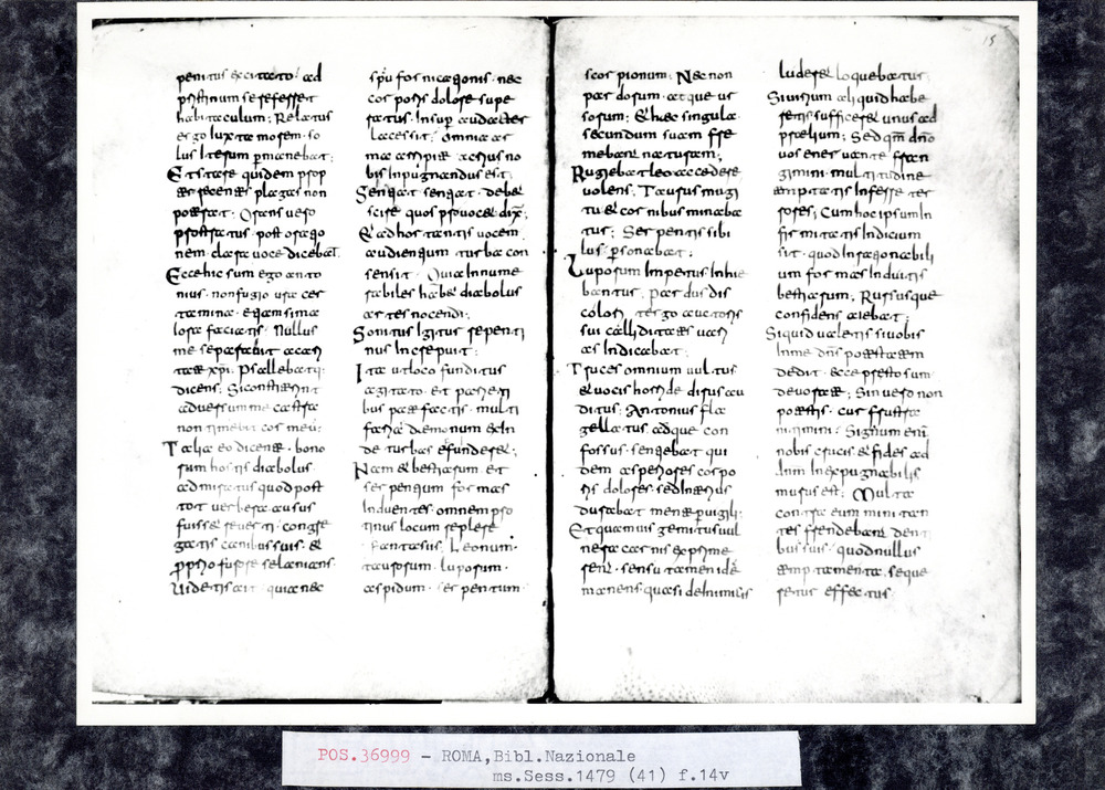 Roma, Biblioteca Nazionale Centrale, Sess. 1479
pos_36999
Keywords: BNCR Sess. 1479, 9. sec., BNCR