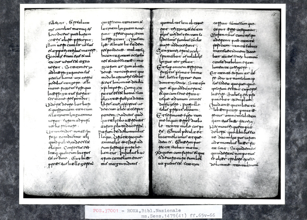 Roma, Biblioteca Nazionale Centrale, Sess. 1479
pos_37001
Keywords: BNCR Sess. 1479, 9. sec., BNCR