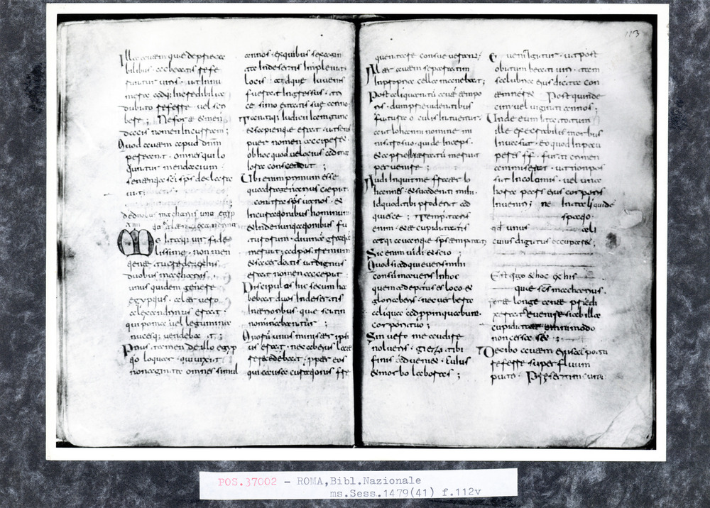 Roma, Biblioteca Nazionale Centrale, Sess. 1479
pos_37002
Keywords: BNCR Sess. 1479, 9. sec., BNCR