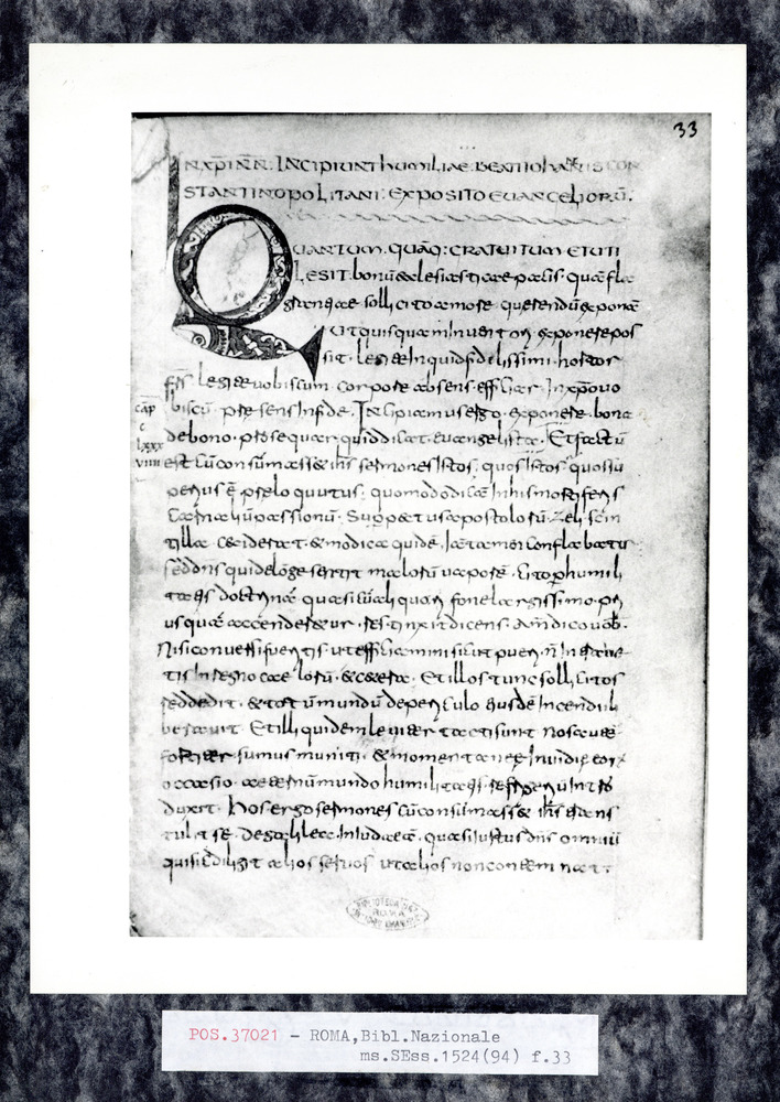 Roma, Biblioteca Nazionale Centrale, Sess. 1524
pos_37021
Keywords: BNCR Sess. 1524, Decorazioni zoomorfe, 8. sec., BNCR