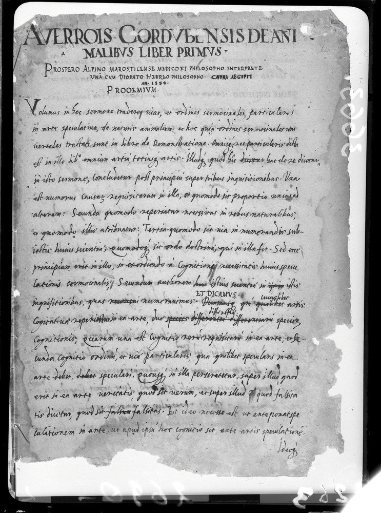 Padova, Biblioteca dell'Orto Botanico, Ms. Ar.B.18
doc_00263_002v
Keywords: Padova B Orto Botanico Ms. Ar.B.18, Padova B Orto Botanico