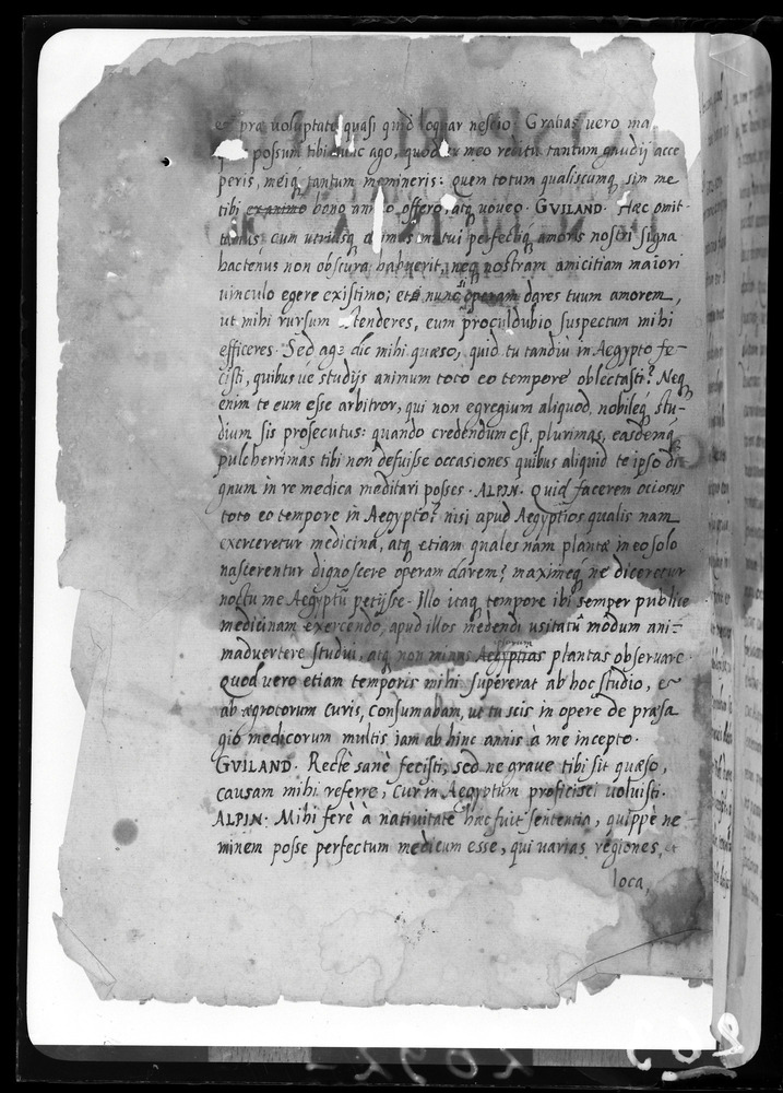 Padova, Biblioteca dell'Orto Botanico, Ms. Ar.B.18
doc_00263_022r
Keywords: Padova B Orto Botanico Ms. Ar.B.18, Padova B Orto Botanico