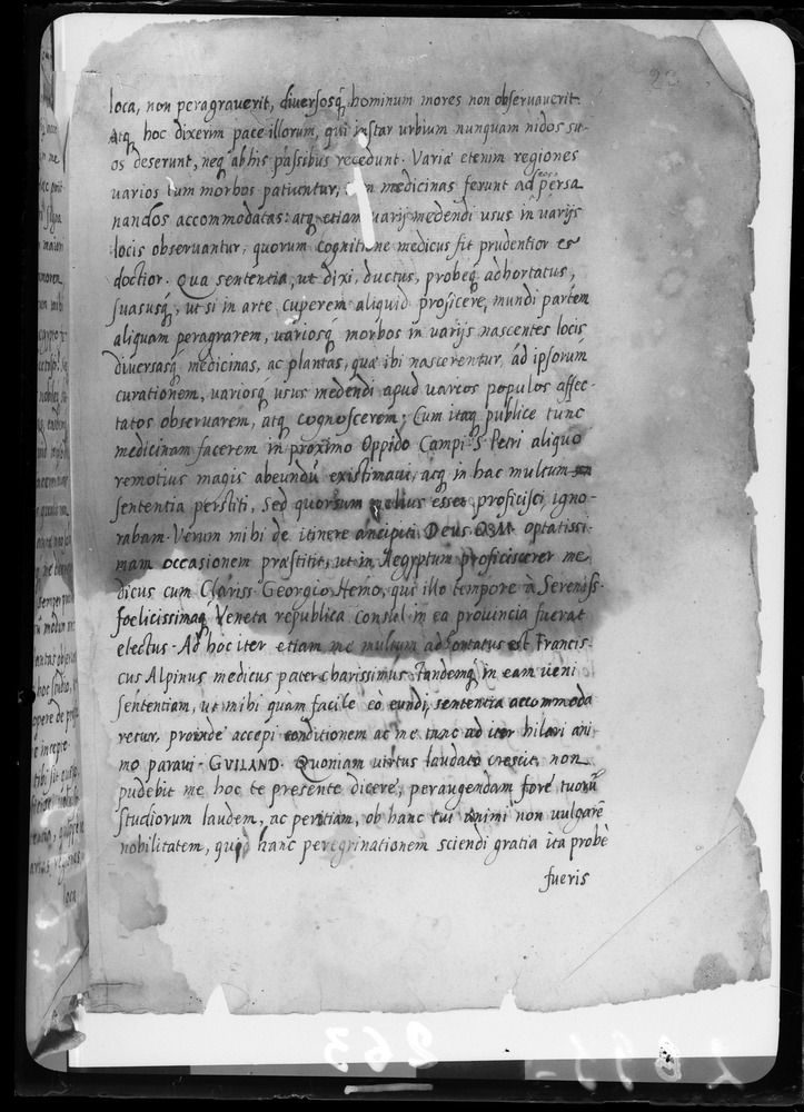 Padova, Biblioteca dell'Orto Botanico, Ms. Ar.B.18
doc_00263_023r
Keywords: Padova B Orto Botanico Ms. Ar.B.18, Padova B Orto Botanico