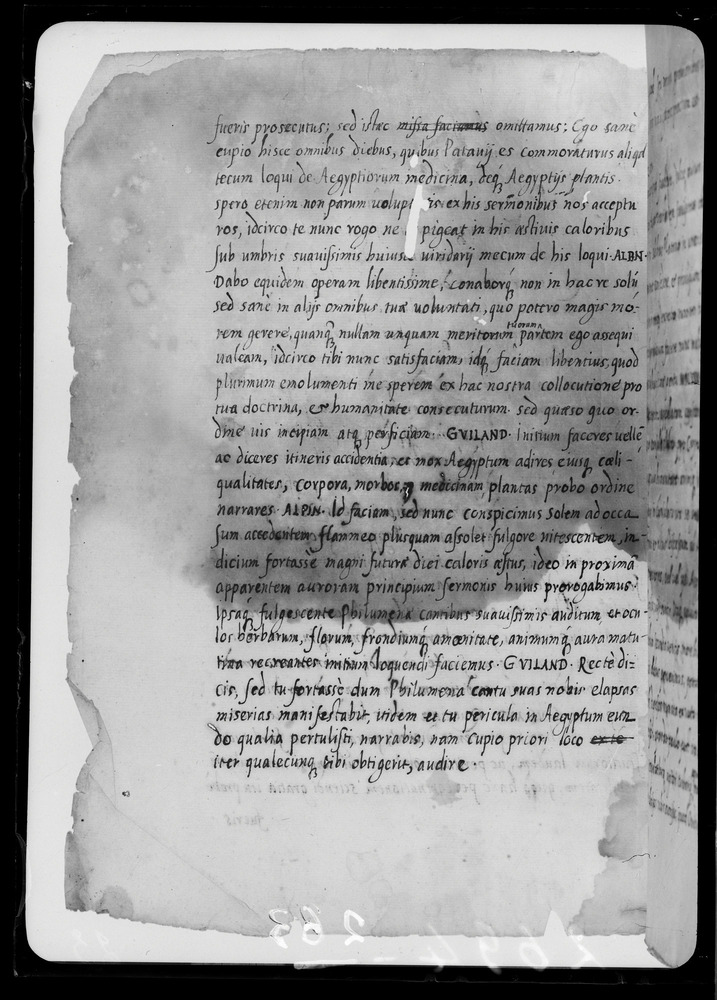 Padova, Biblioteca dell'Orto Botanico, Ms. Ar.B.18
doc_00263_023v
Keywords: Padova B Orto Botanico Ms. Ar.B.18, Padova B Orto Botanico