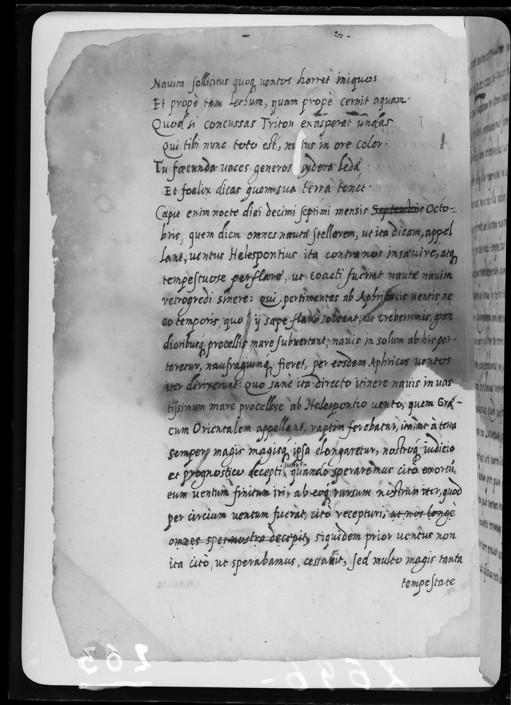 Padova, Biblioteca dell'Orto Botanico, Ms. Ar.B.18
doc_00263_024v
Keywords: Padova B Orto Botanico Ms. Ar.B.18, Padova B Orto Botanico