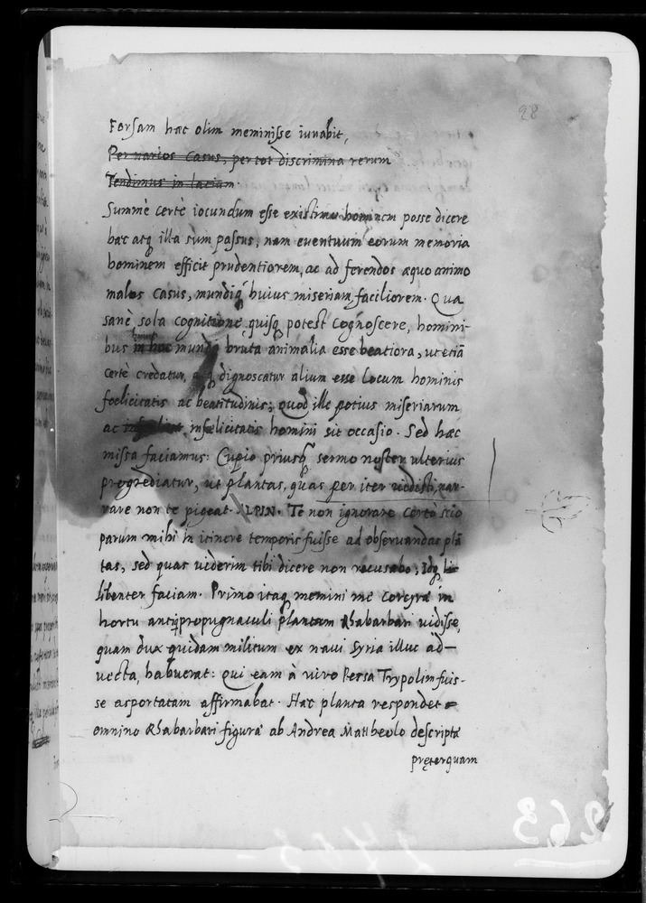 Padova, Biblioteca dell'Orto Botanico, Ms. Ar.B.18
doc_00263_028r
Keywords: Padova B Orto Botanico Ms. Ar.B.18, Padova B Orto Botanico