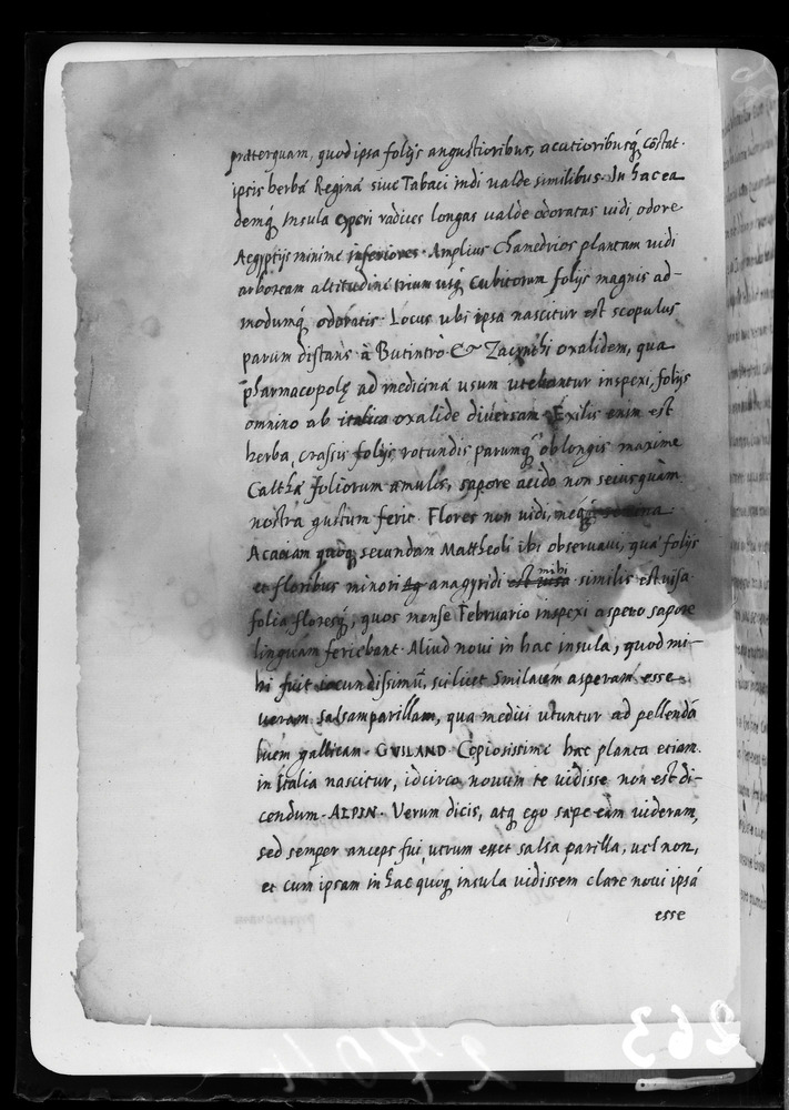 Padova, Biblioteca dell'Orto Botanico, Ms. Ar.B.18
doc_00263_028v
Keywords: Padova B Orto Botanico Ms. Ar.B.18, Padova B Orto Botanico