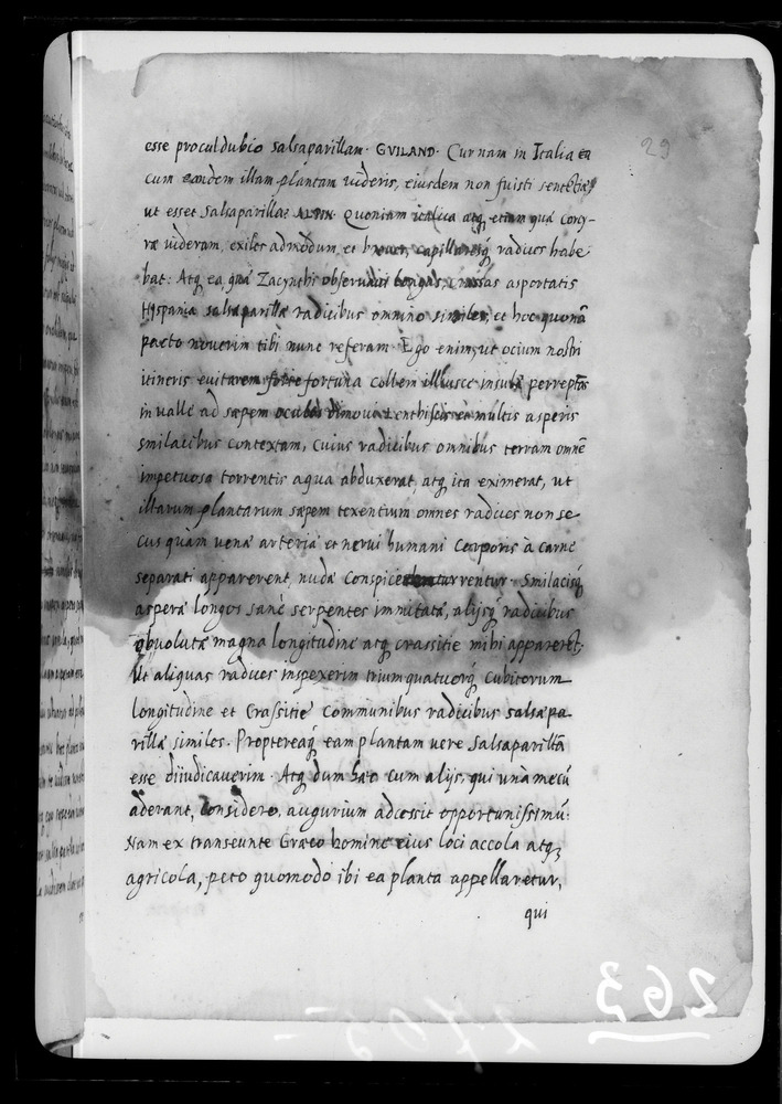 Padova, Biblioteca dell'Orto Botanico, Ms. Ar.B.18
doc_00263_029r
Keywords: Padova B Orto Botanico Ms. Ar.B.18, Padova B Orto Botanico