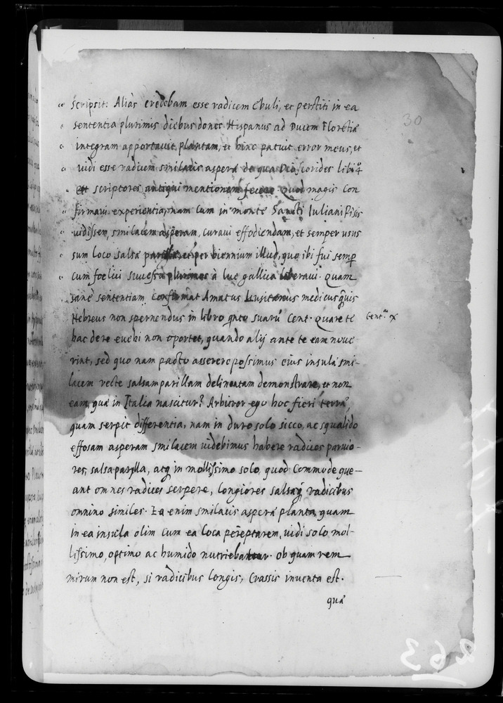 Padova, Biblioteca dell'Orto Botanico, Ms. Ar.B.18
doc_00263_030r
Keywords: Padova B Orto Botanico Ms. Ar.B.18, Padova B Orto Botanico