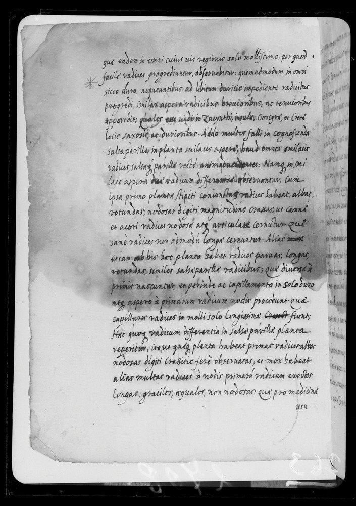 Padova, Biblioteca dell'Orto Botanico, Ms. Ar.B.18
doc_00263_030v
Keywords: Padova B Orto Botanico Ms. Ar.B.18, Padova B Orto Botanico