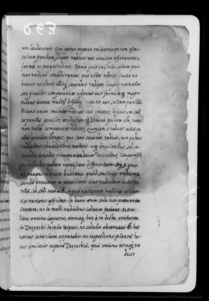 Padova, Biblioteca dell'Orto Botanico, Ms. Ar.B.18
doc_00263_031r
Keywords: Padova B Orto Botanico Ms. Ar.B.18, Padova B Orto Botanico