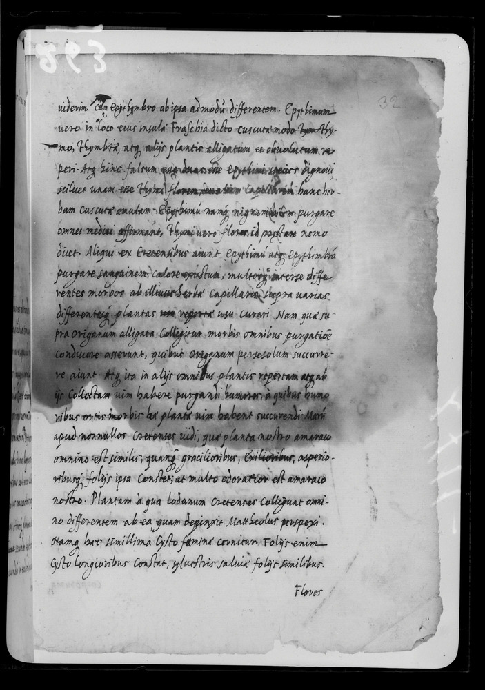 Padova, Biblioteca dell'Orto Botanico, Ms. Ar.B.18
doc_00263_032r
Keywords: Padova B Orto Botanico Ms. Ar.B.18, Padova B Orto Botanico