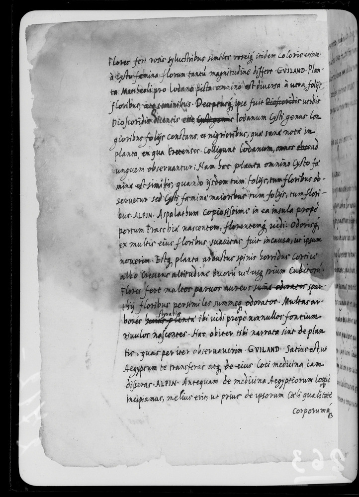 Padova, Biblioteca dell'Orto Botanico, Ms. Ar.B.18
doc_00263_032v
Keywords: Padova B Orto Botanico Ms. Ar.B.18, Padova B Orto Botanico