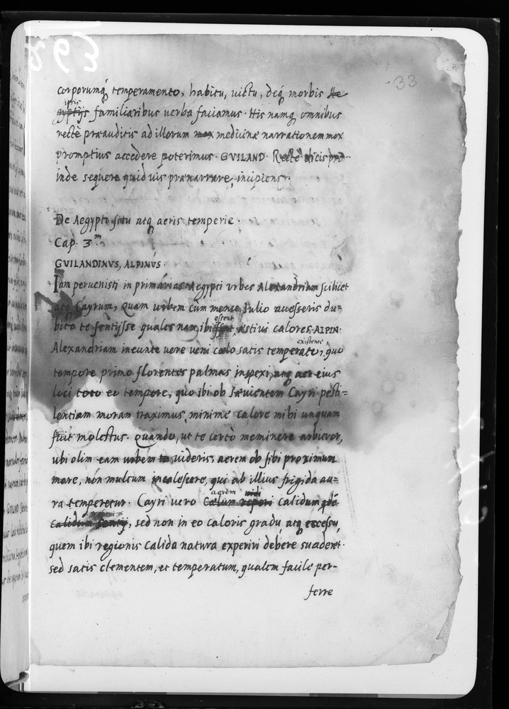 Padova, Biblioteca dell'Orto Botanico, Ms. Ar.B.18
doc_00263_033r
Keywords: Padova B Orto Botanico Ms. Ar.B.18, Padova B Orto Botanico
