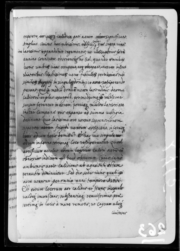 Padova, Biblioteca dell'Orto Botanico, Ms. Ar.B.18
doc_00263_034r
Keywords: Padova B Orto Botanico Ms. Ar.B.18, Padova B Orto Botanico