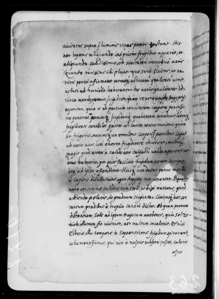 Padova, Biblioteca dell'Orto Botanico, Ms. Ar.B.18
doc_00263_034v
Keywords: Padova B Orto Botanico Ms. Ar.B.18, Padova B Orto Botanico
