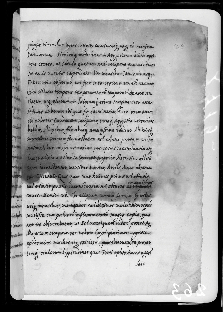Padova, Biblioteca dell'Orto Botanico, Ms. Ar.B.18
doc_00263_036r
Keywords: Padova B Orto Botanico Ms. Ar.B.18, Padova B Orto Botanico