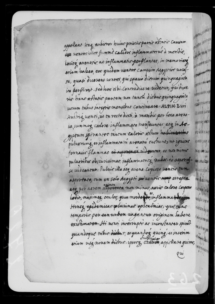 Padova, Biblioteca dell'Orto Botanico, Ms. Ar.B.18
doc_00263_036v
Keywords: Padova B Orto Botanico Ms. Ar.B.18, Padova B Orto Botanico