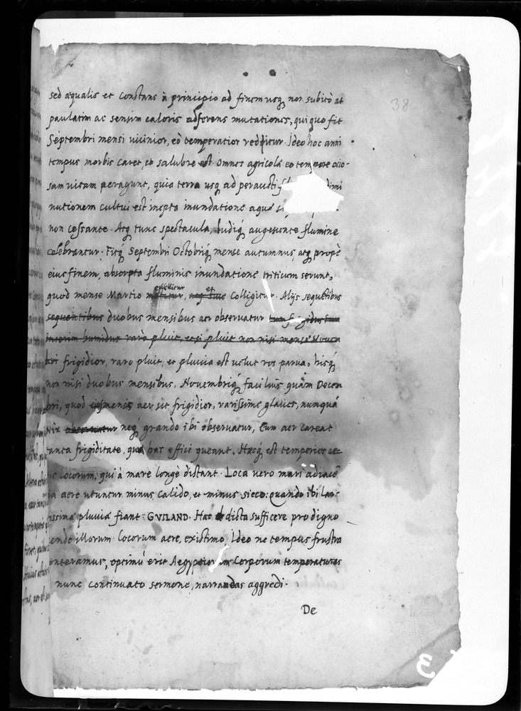 Padova, Biblioteca dell'Orto Botanico, Ms. Ar.B.18
doc_00263_038r
Keywords: Padova B Orto Botanico Ms. Ar.B.18, Padova B Orto Botanico
