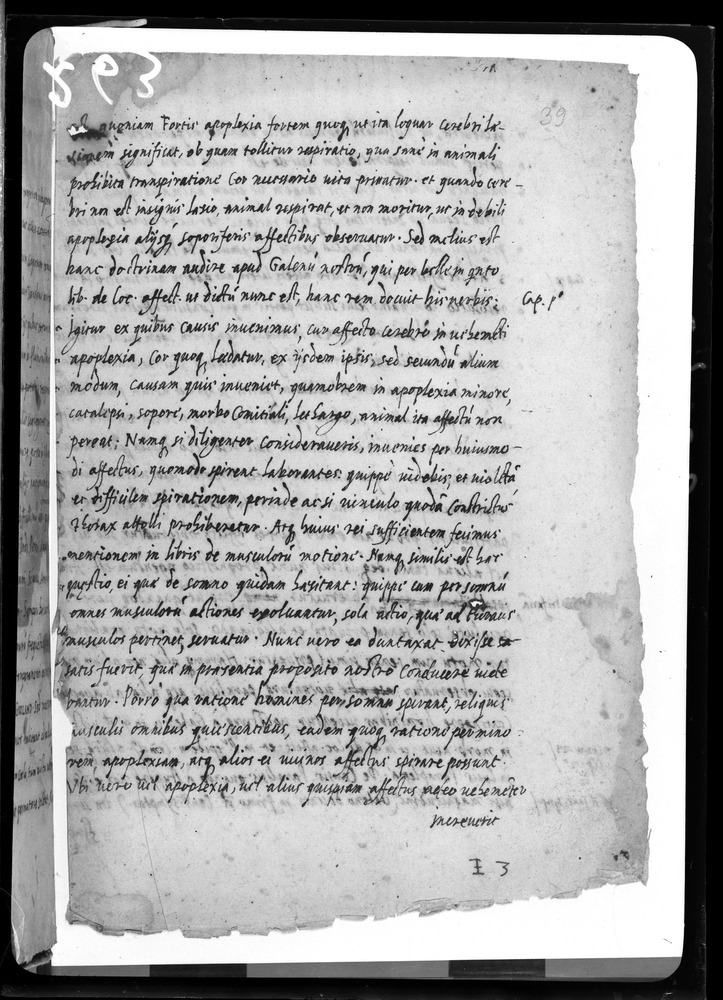 Padova, Biblioteca dell'Orto Botanico, Ms. Ar.B.18
doc_00263_039r
Keywords: Padova B Orto Botanico Ms. Ar.B.18, Padova B Orto Botanico