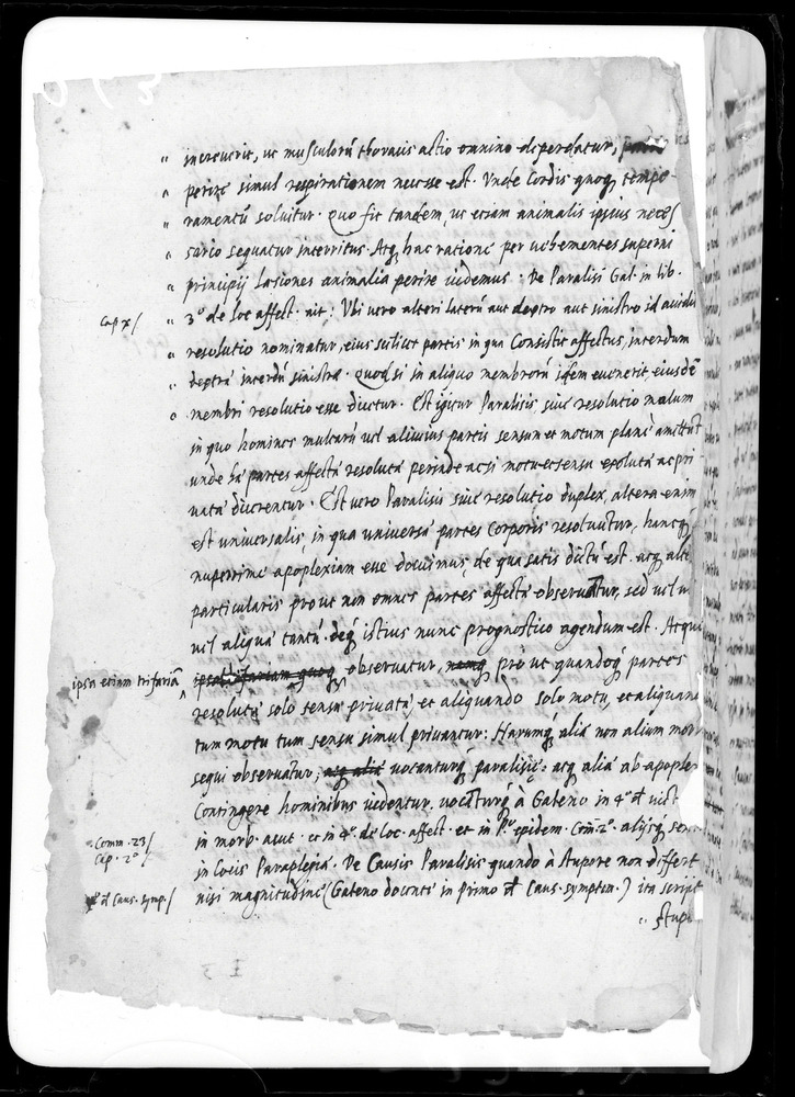 Padova, Biblioteca dell'Orto Botanico, Ms. Ar.B.18
doc_00263_039v
Keywords: Padova B Orto Botanico Ms. Ar.B.18, Padova B Orto Botanico