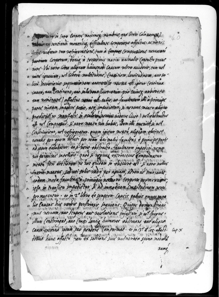 Padova, Biblioteca dell'Orto Botanico, Ms. Ar.B.18
doc_00263_040r
Keywords: Padova B Orto Botanico Ms. Ar.B.18, Padova B Orto Botanico