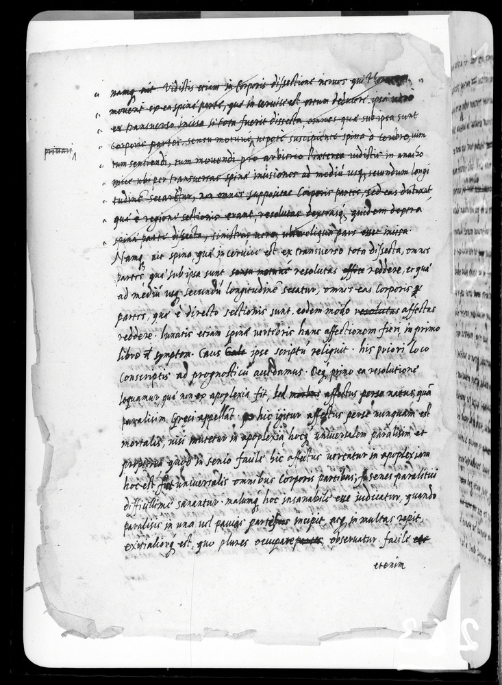 Padova, Biblioteca dell'Orto Botanico, Ms. Ar.B.18
doc_00263_040v
Keywords: Padova B Orto Botanico Ms. Ar.B.18, Padova B Orto Botanico