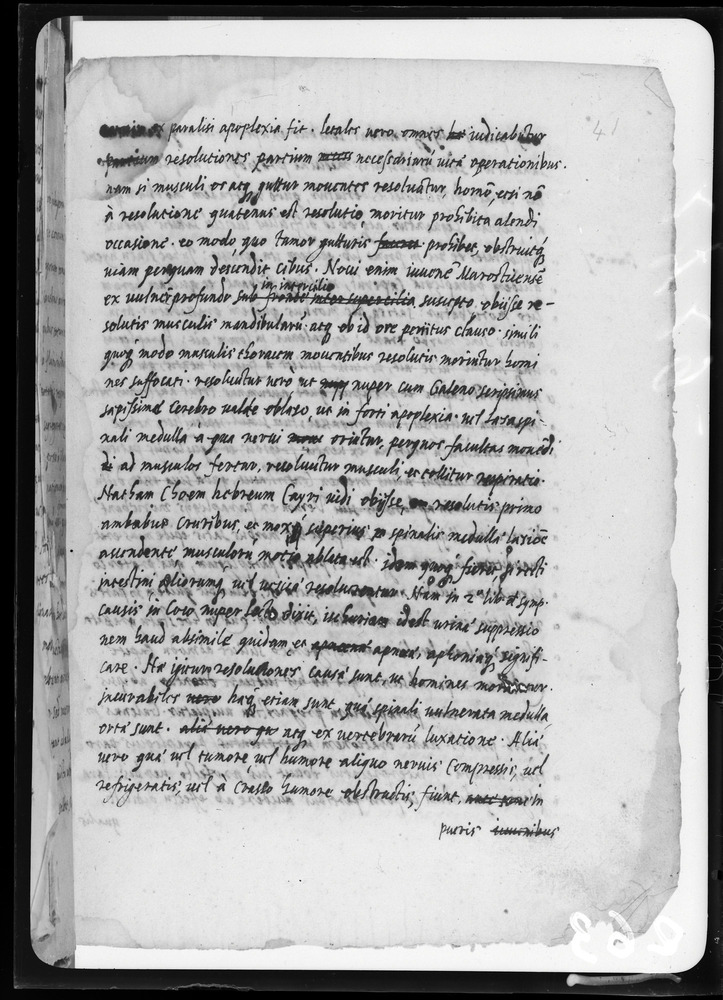 Padova, Biblioteca dell'Orto Botanico, Ms. Ar.B.18
doc_00263_041r
Keywords: Padova B Orto Botanico Ms. Ar.B.18, Padova B Orto Botanico