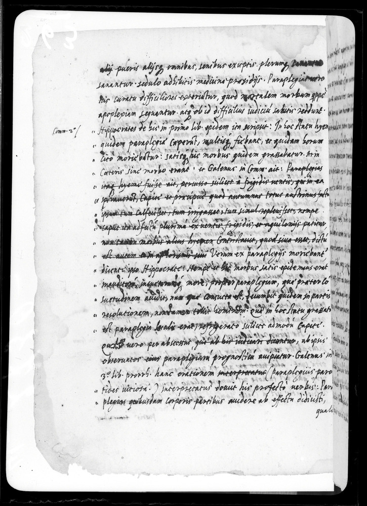 Padova, Biblioteca dell'Orto Botanico, Ms. Ar.B.18
doc_00263_041v
Keywords: Padova B Orto Botanico Ms. Ar.B.18, Padova B Orto Botanico