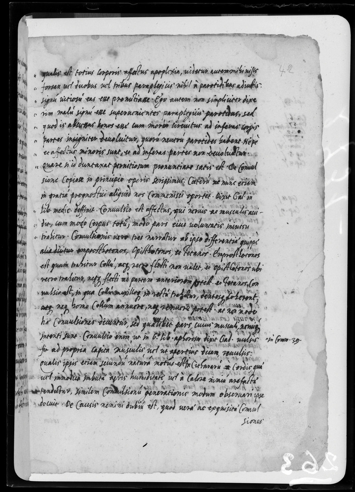 Padova, Biblioteca dell'Orto Botanico, Ms. Ar.B.18
doc_00263_042r
Keywords: Padova B Orto Botanico Ms. Ar.B.18, Padova B Orto Botanico