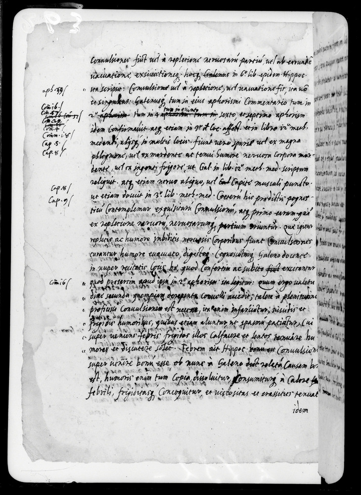 Padova, Biblioteca dell'Orto Botanico, Ms. Ar.B.18
doc_00263_042v
Keywords: Padova B Orto Botanico Ms. Ar.B.18, Padova B Orto Botanico