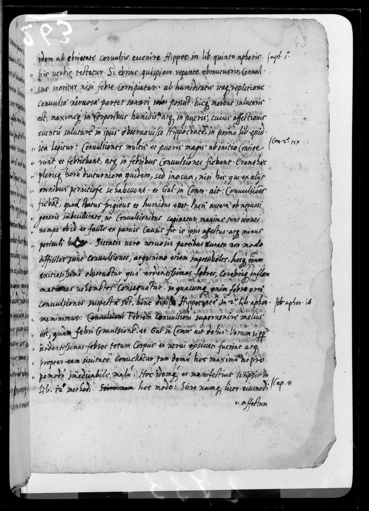 Padova, Biblioteca dell'Orto Botanico, Ms. Ar.B.18
doc_00263_043r
Keywords: Padova B Orto Botanico Ms. Ar.B.18, Padova B Orto Botanico
