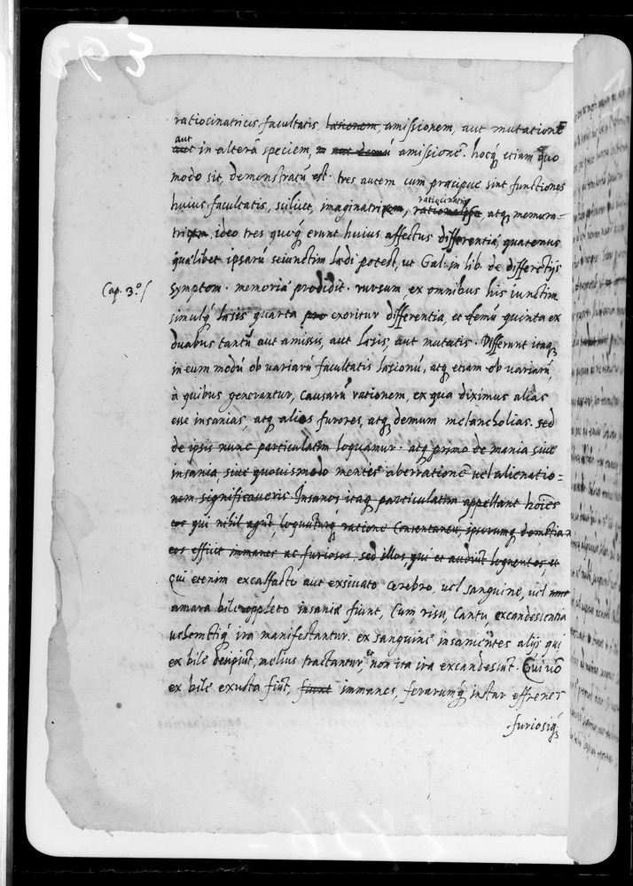 Padova, Biblioteca dell'Orto Botanico, Ms. Ar.B.18
doc_00263_044v
Keywords: Padova B Orto Botanico Ms. Ar.B.18, Padova B Orto Botanico