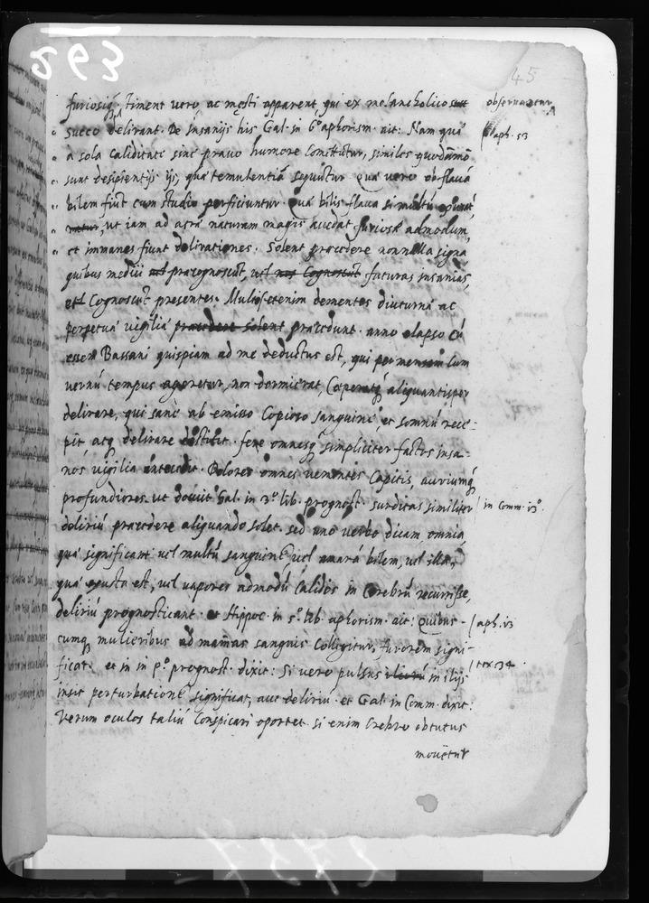 Padova, Biblioteca dell'Orto Botanico, Ms. Ar.B.18
doc_00263_045r
Keywords: Padova B Orto Botanico Ms. Ar.B.18, Padova B Orto Botanico