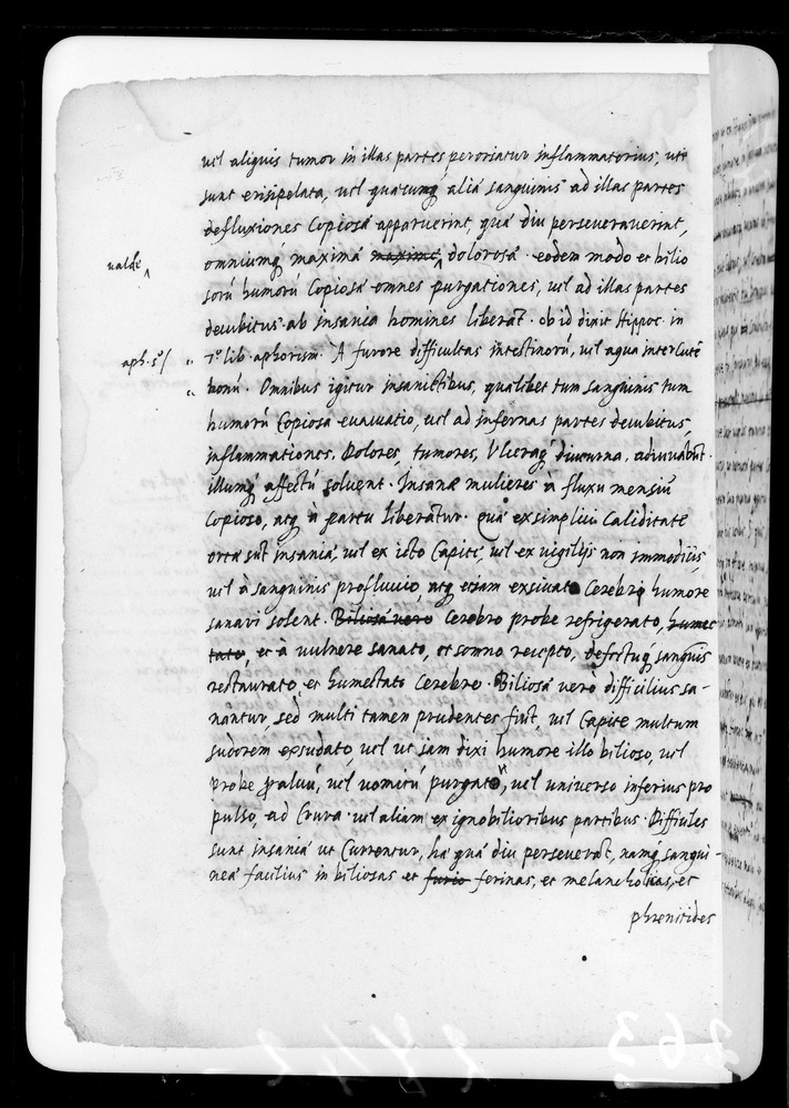 Padova, Biblioteca dell'Orto Botanico, Ms. Ar.B.18
doc_00263_047v
Keywords: Padova B Orto Botanico Ms. Ar.B.18, Padova B Orto Botanico