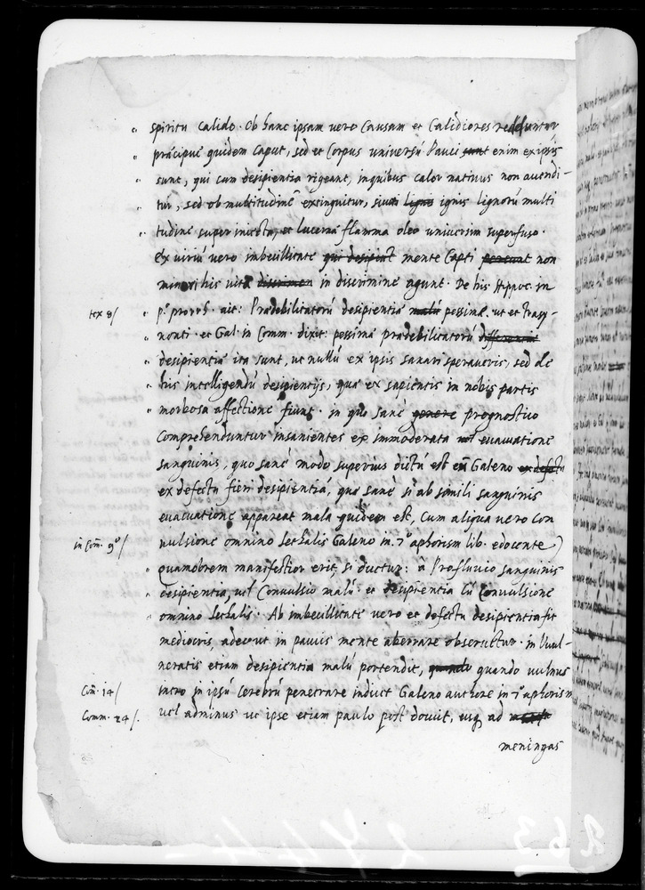 Padova, Biblioteca dell'Orto Botanico, Ms. Ar.B.18
doc_00263_048v
Keywords: Padova B Orto Botanico Ms. Ar.B.18, Padova B Orto Botanico