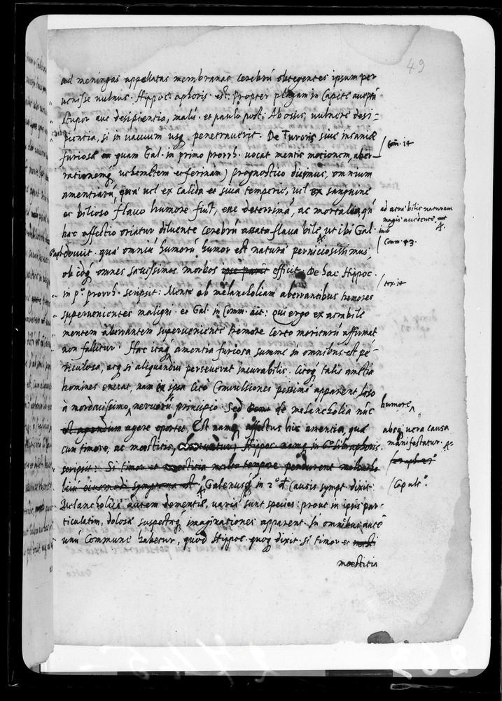 Padova, Biblioteca dell'Orto Botanico, Ms. Ar.B.18
doc_00263_049r
Keywords: Padova B Orto Botanico Ms. Ar.B.18, Padova B Orto Botanico