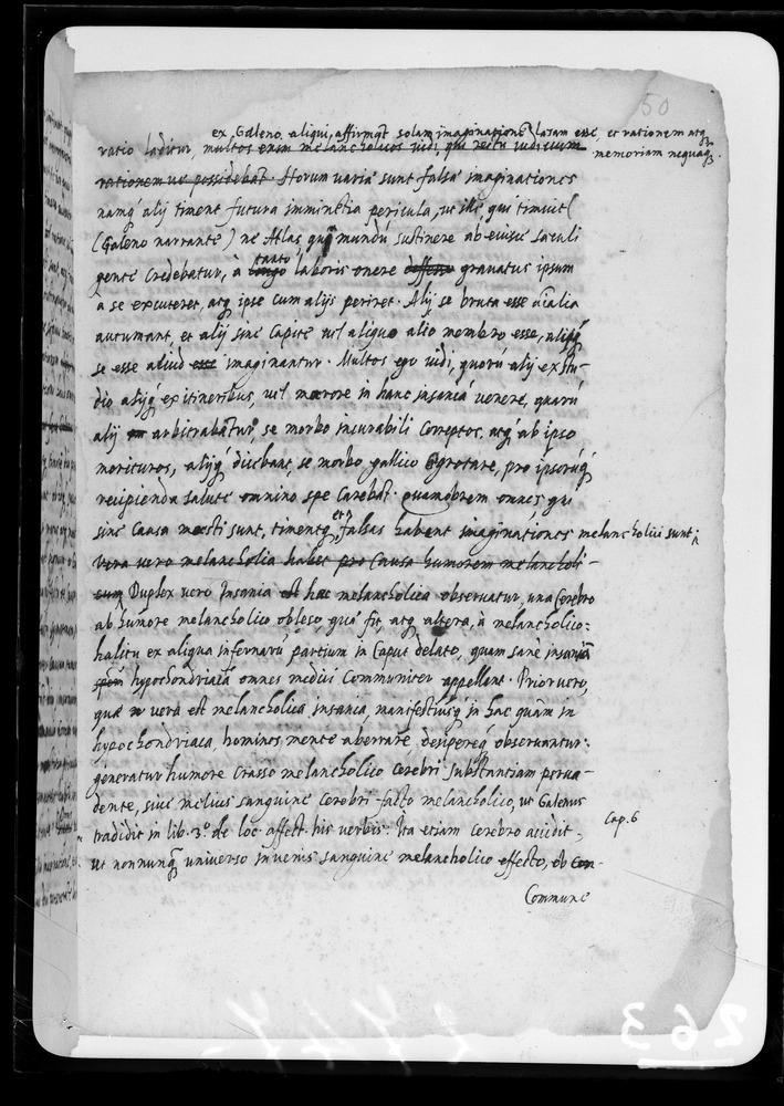 Padova, Biblioteca dell'Orto Botanico, Ms. Ar.B.18
doc_00263_050r
Keywords: Padova B Orto Botanico Ms. Ar.B.18, Padova B Orto Botanico