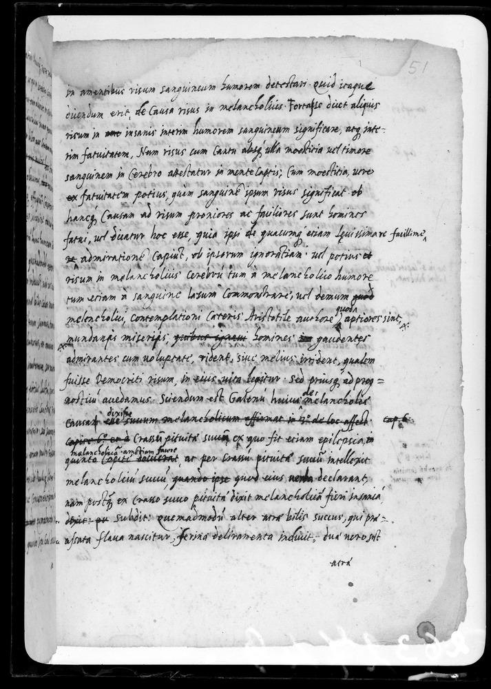 Padova, Biblioteca dell'Orto Botanico, Ms. Ar.B.18
doc_00263_051r
Keywords: Padova B Orto Botanico Ms. Ar.B.18, Padova B Orto Botanico