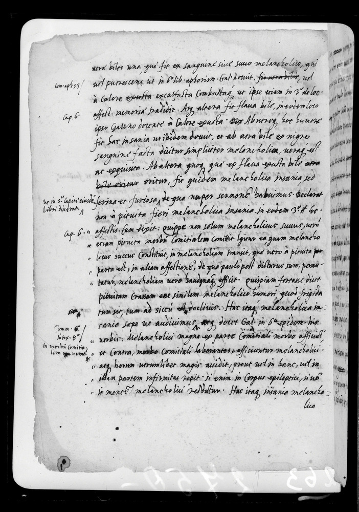 Padova, Biblioteca dell'Orto Botanico, Ms. Ar.B.18
doc_00263_051v
Keywords: Padova B Orto Botanico Ms. Ar.B.18, Padova B Orto Botanico
