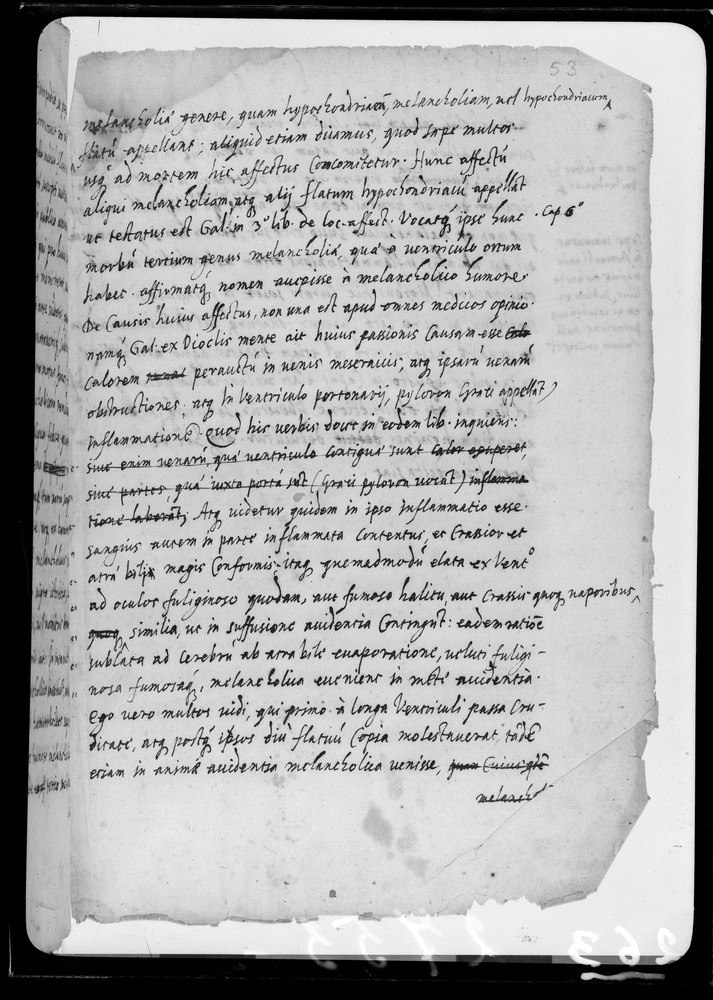 Padova, Biblioteca dell'Orto Botanico, Ms. Ar.B.18
doc_00263_053r
Keywords: Padova B Orto Botanico Ms. Ar.B.18, Padova B Orto Botanico