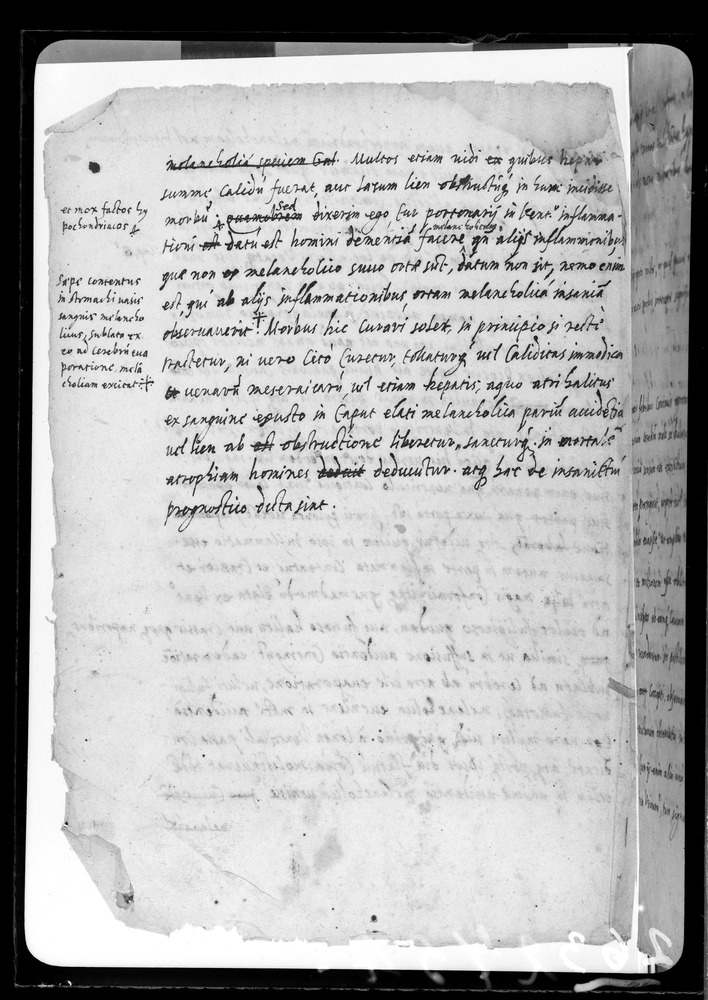 Padova, Biblioteca dell'Orto Botanico, Ms. Ar.B.18
doc_00263_053v
Keywords: Padova B Orto Botanico Ms. Ar.B.18, Padova B Orto Botanico